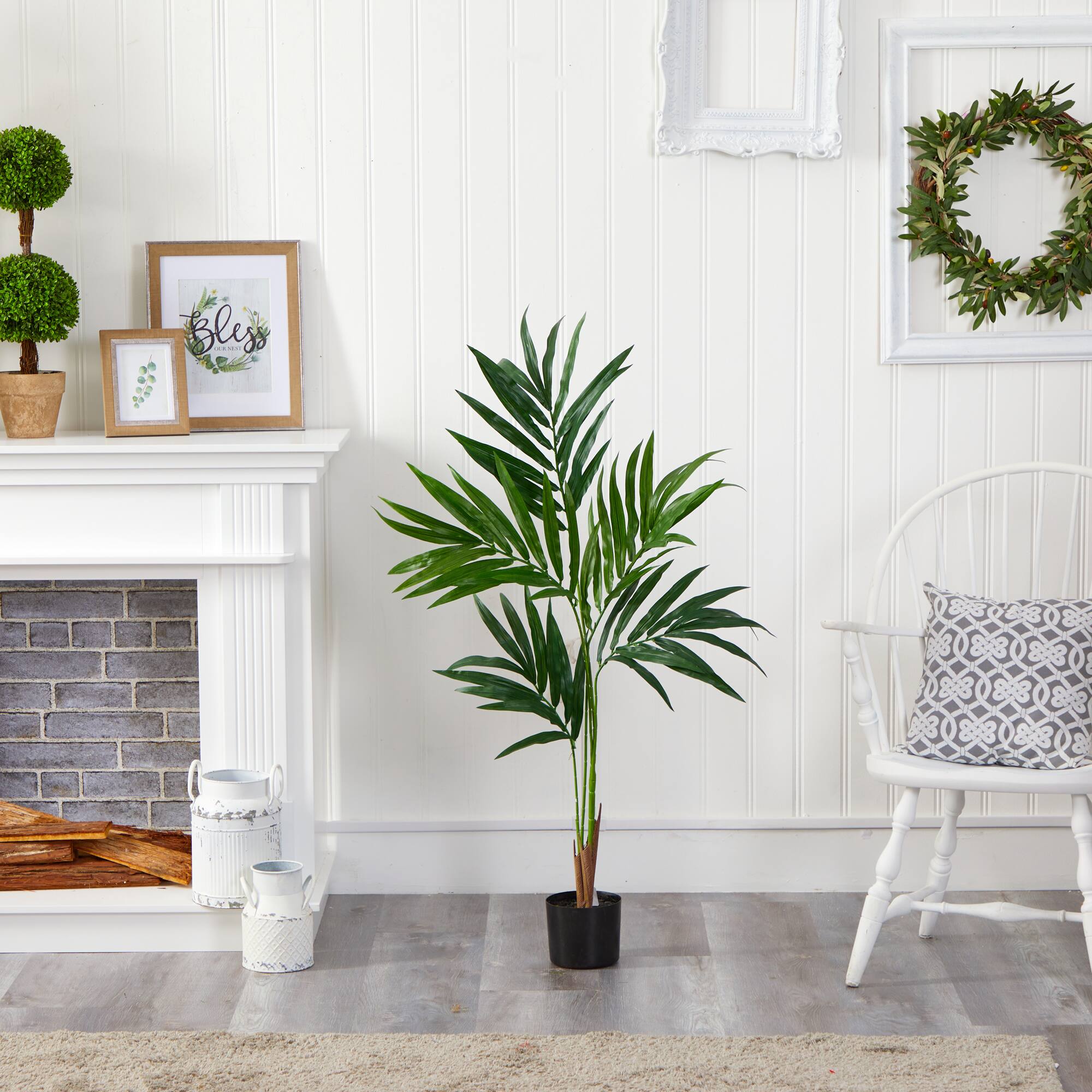 4ft. Potted Kentia Palm Tree